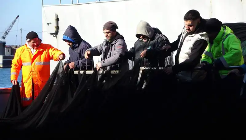 Hamsi Stoku Tükendi: Balıkçılar Erken Tatile Çıkıyor, Denizler Vahim!