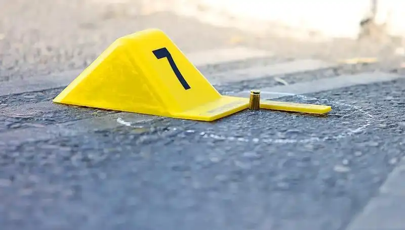 2024 Yılında Kadına Yönelik Şiddet: 394 Can Kaybı ve Acı İstatistikler