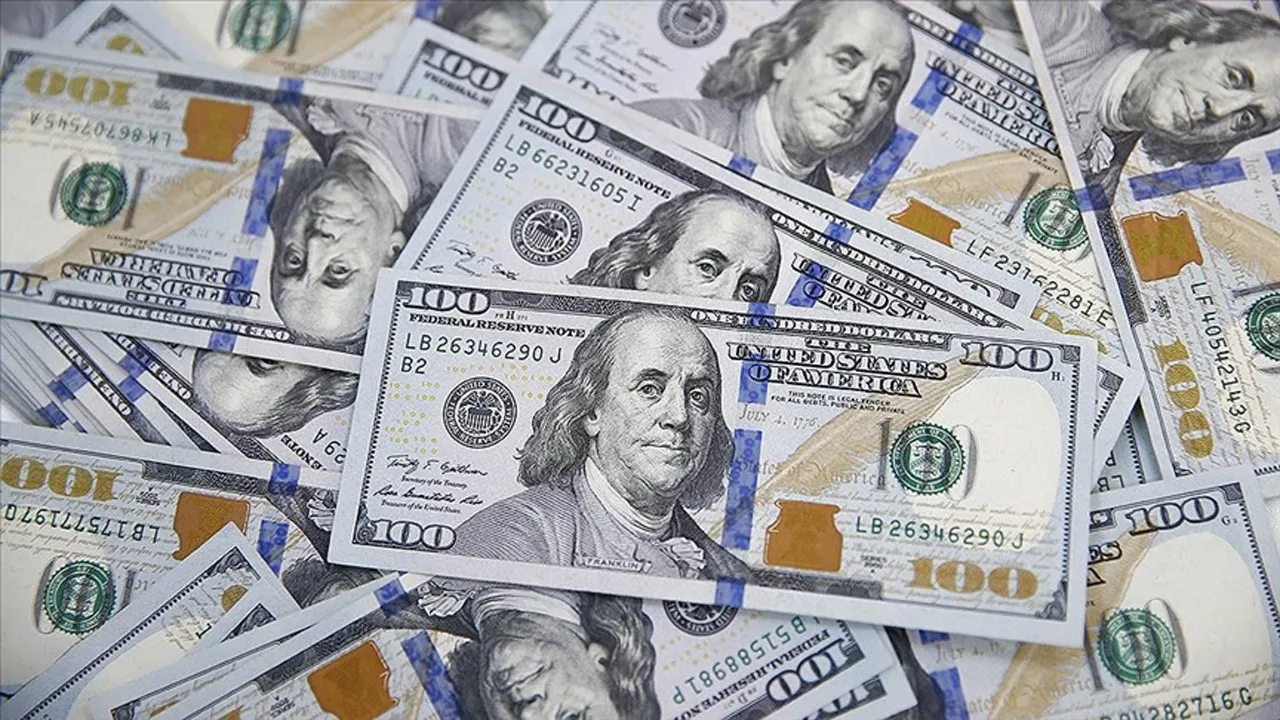 Döviz Mevduatı 24,8 Milyon Dolar Arttı: Yatırımcılar Döviz Birikimlerini Artırıyor