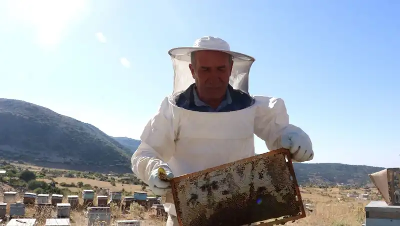 25 Yıllık Mobilya Kariyerinden Tarıma: 2 Ton Üretim Başarısı