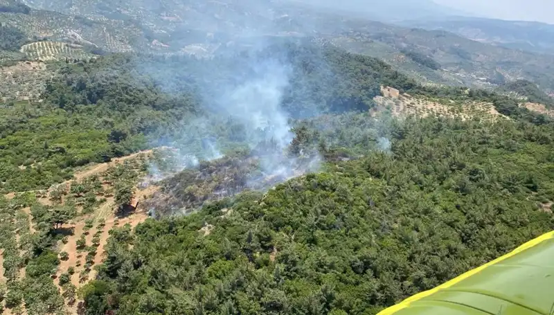 Aydın'ın Gözde Ormanlarında Yangın Paniği: Sebebi ve Son Gelişmeler