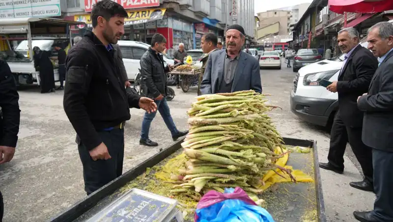 Dağlardan Gelen Mucize: Şekerin Şaşırtıcı Faydaları ve Kullanım Alanları