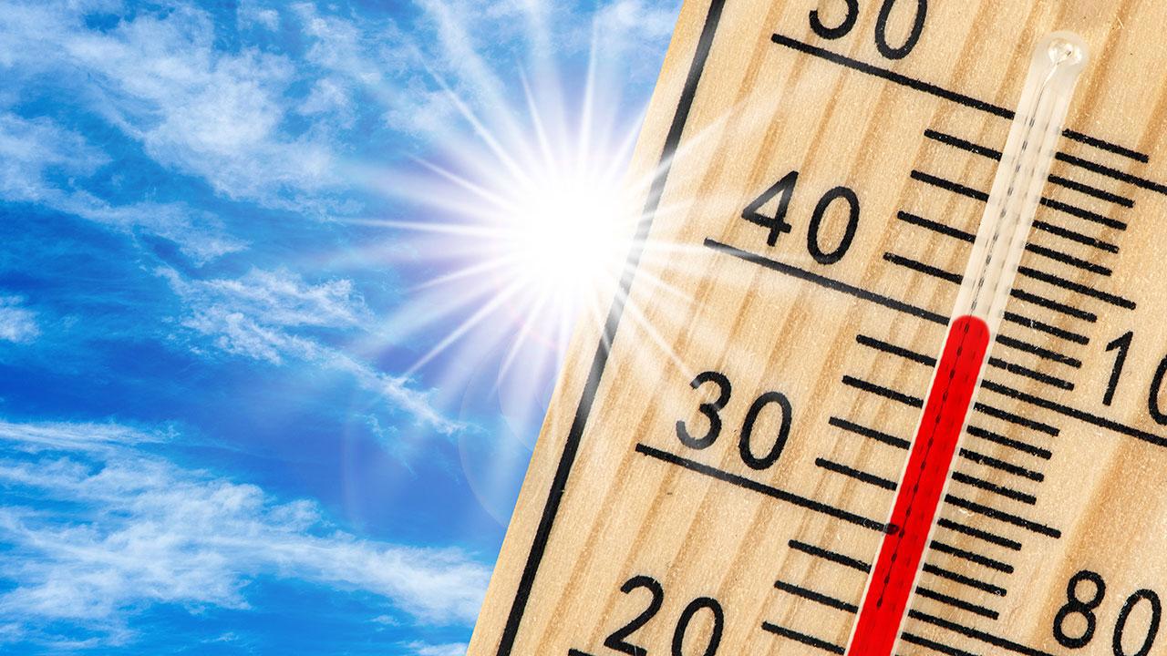 Dünya 2024'te En Sıcak Yılı Deneyimledi