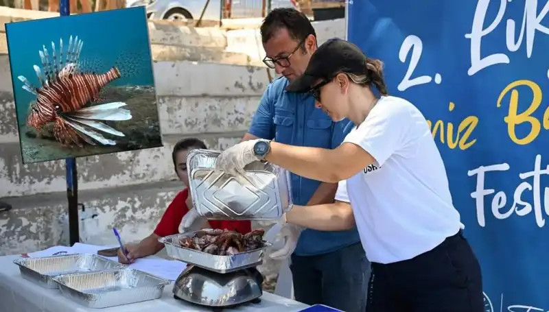 Antalya'da İstilacı Aslan Balığı Avlama Yarışması: Denizlerin Korunması İçin Heyecanlı Bir Mücadele