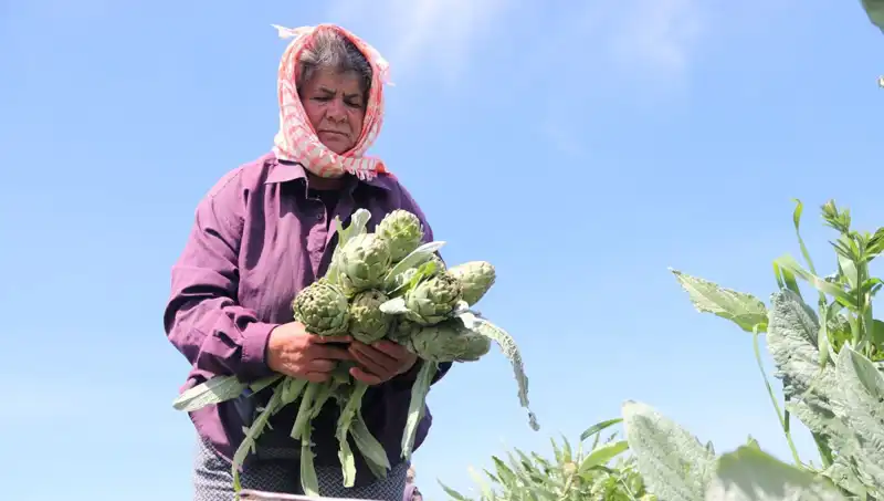 Taze Sebzelerin Fiyatları Uçuşa Geçti: Tezgahlarda 50 TL'ye Dayandı!