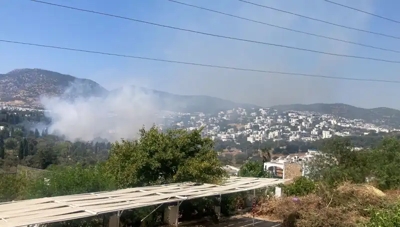 Muğla'daki Orman Yangınları Kontrol Altına Alındı: Son Durum ve Önemli Bilgiler