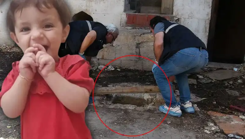 Cesedi Kuyuda Bulunan Aric'in Gizemli Ölümünün Ardındaki Gerçekler