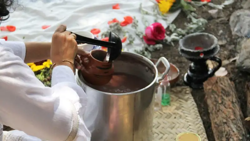 Ayahuasca: Şaşırtıcı Faydaları ve Ticari Yasal Durumu Nedir?