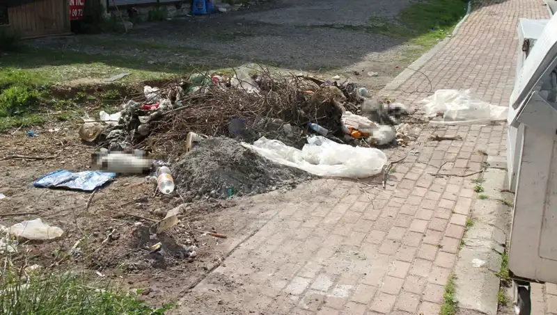 Antalya'da Şok Eden Vahşet: 10 Kedi Ölü Bulundu!