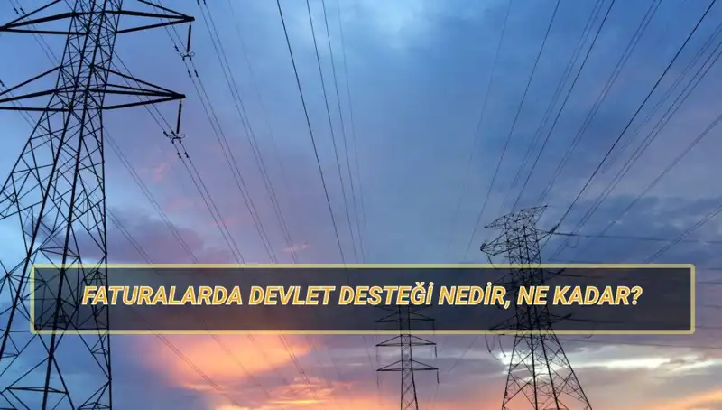 2025 Yılında Devlet Destekleri ile Fatura Yardımı: Hangi Aylık Ödemeler Gelecek?