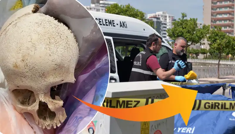 Sitenin Çöpünden Çıkan Kafatasının Şok Edici Sırrı Ortaya Çıktı!