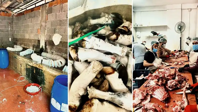 Adana’da Skandal: Yüzlerce Kilo Paçanın Çirkin Hikayesi