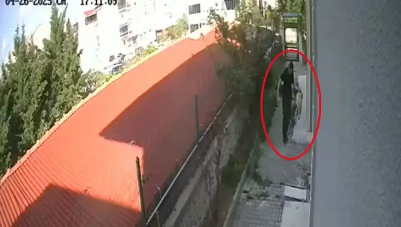 Hayvanlara Şiddet Tekrar Gündemde: Doktorun Şok Edici Suçu