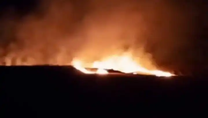 20 Dönümlük Ekili Alan Küllere Döndü: Yangının Sebepleri Araştırılıyor
