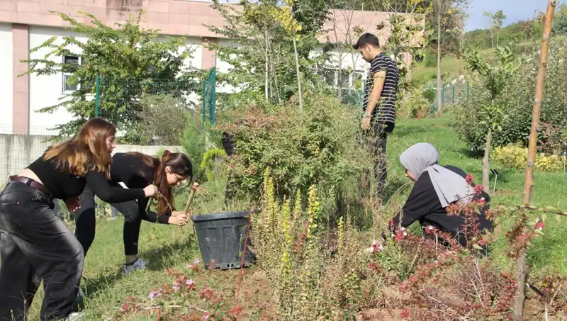 Düzce'den Dünyaya Açılan Kapı: Hayaldaki Proje Gerçek Oldu