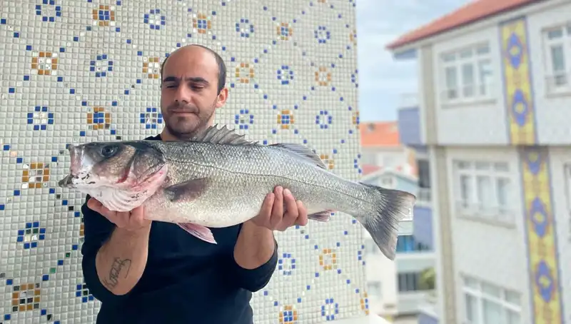 İnanılmaz Av: 7,5 Kiloluk Dev Levrek Avlandı!