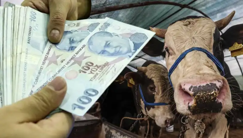 Bayram Öncesi Memur ve Emekli Maaşları Yatacak mı? Erken Ödeme Detayları