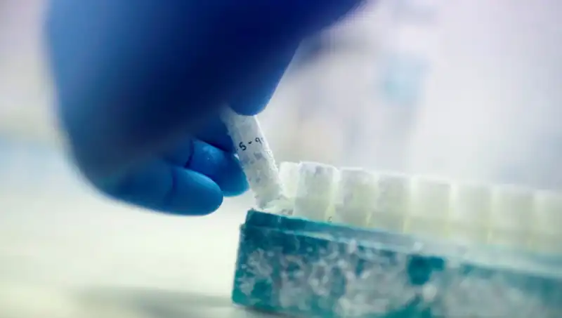 Sırlarla Dolu Bir Skandal: 85 Sperm Donörü, Dünya Çapında Binlerce Çocuğa Baba Oldu!
