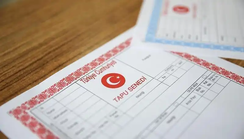Hisseli Tapu Dolandırıcılığı: 100 Milyonluk Çarkın Karanlık Yüzü