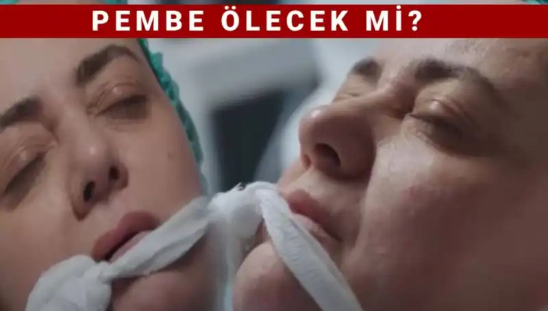 Pembe'nin Kızılcık Şerbeti Macerası: Zehirlenme mi, Ayrılma mı?