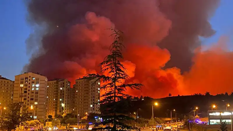 Bursa'da Yangınlar: Şehirde Acil Durum İlan Edildi