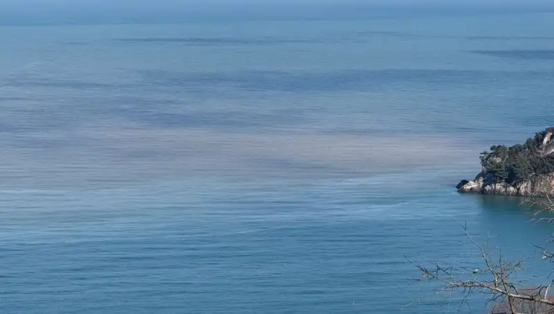 Bartın Irmağı'ndan Akan Çamurlu Su Deniz Rengini Değiştirdi: Nedenleri ve Sonuçları