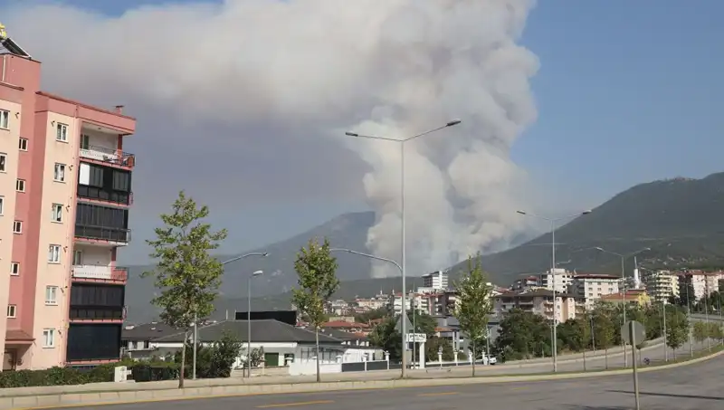 Denizli'de Orman Yangını: Eş Zamanlı Olayda Şüpheli Gözaltına Alındı