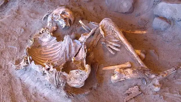 Yeni Keşfedilen Mumya, İnsanlık Tarihine Işık Tutuyor