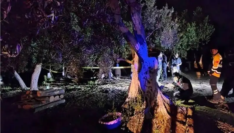 Çiftlikteki Baltalı Vahşet: Sır Çözüldü, Bir Tutuklama Gerçekleşti
