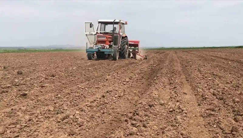 Bu Mart Ayı Neden Son 35 Yılın En Kurak Dönemi Oldu?