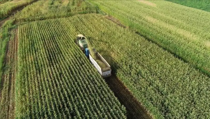 2025 Mazot ve Gübre Desteği Ödemeleri: Son Durum ve Tüm Detaylar